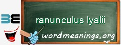 WordMeaning blackboard for ranunculus lyalii